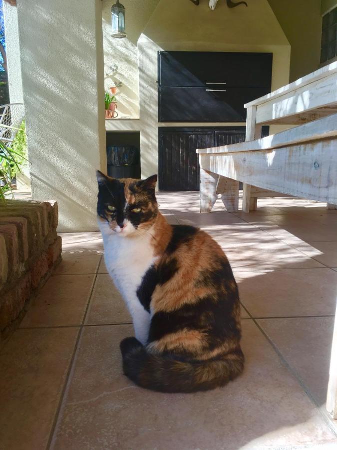 Pane Vivente Garden Cottage Beaufort West Dış mekan fotoğraf