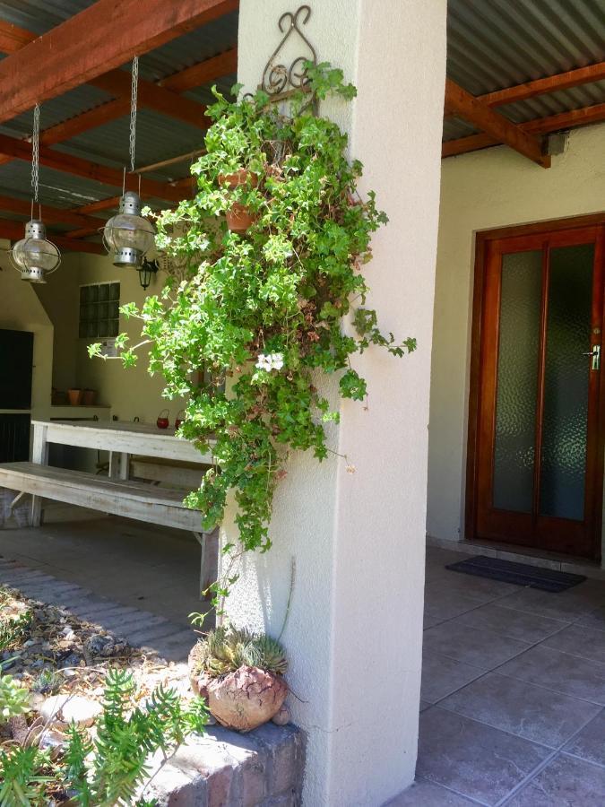 Pane Vivente Garden Cottage Beaufort West Dış mekan fotoğraf