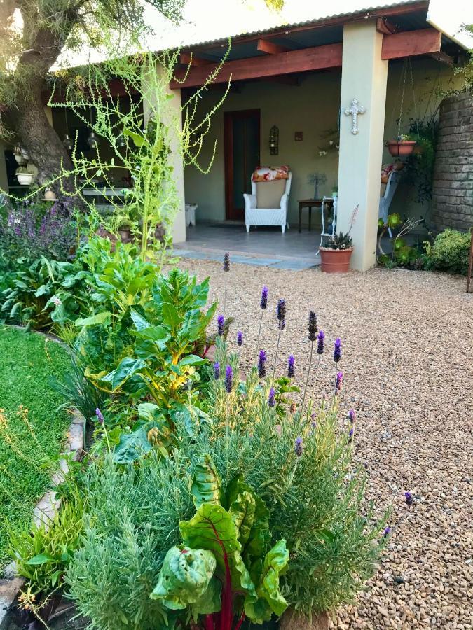 Pane Vivente Garden Cottage Beaufort West Dış mekan fotoğraf